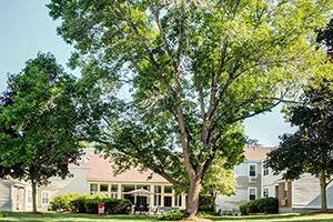 A photo of Stony Brook Court in Sharon, Mass.
